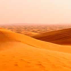 デザートサファリ/画像提供:ドバイ政府観光・商務局