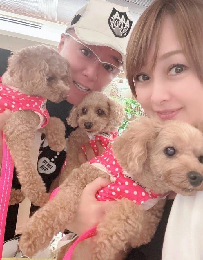 渡辺美奈代オフィシャルブログより