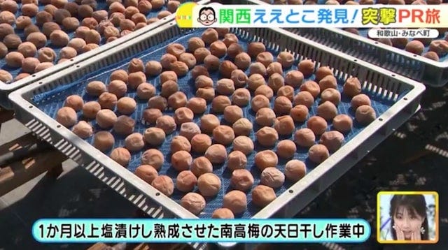 クエタマ鍋って知ってる？和歌山県みなべ町の「ええとこ」発見