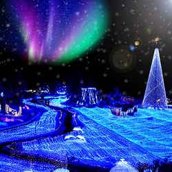 10万人を魅了、関西最大級イルミネーションイベント開催 関西初“光のアーチ”も登場