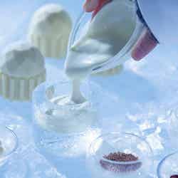 アイスヴィレッジ/画像提供:星野リゾート