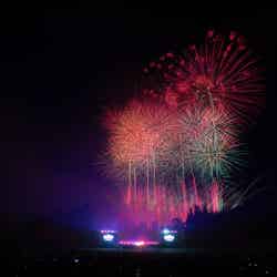 Photo by YUKI SHINOHARA