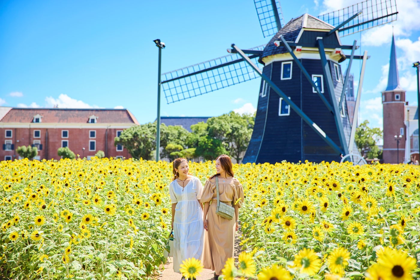 ヒマワリセレブレーション／提供画像