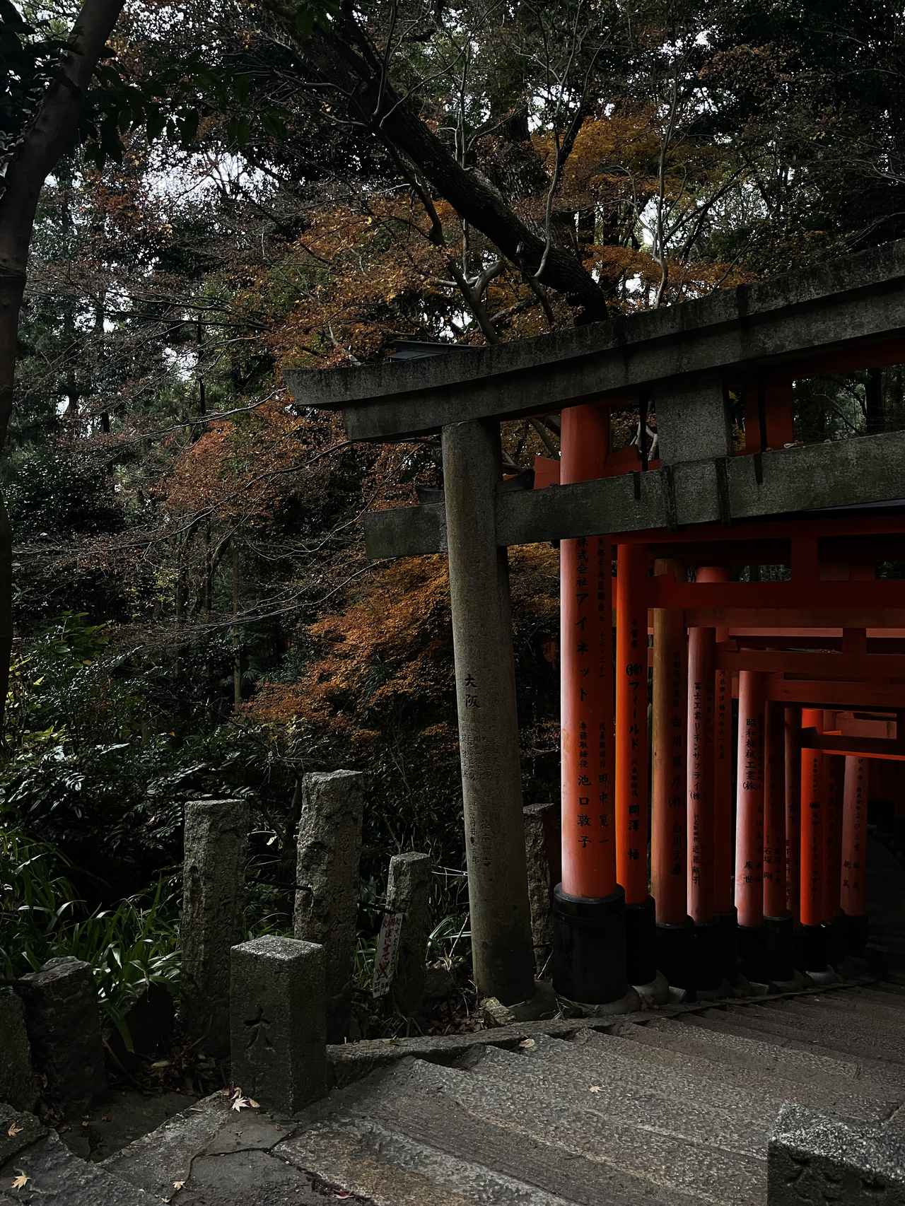 画像4: