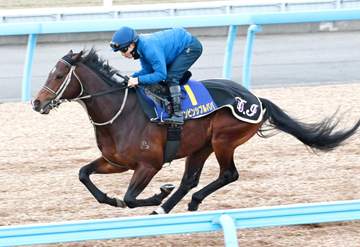 【高松宮記念】インビンシブルパパは7枠15番 Vへのカギは隊列 理想は2、3番手 伊藤大師「豊さんがどう出るか」