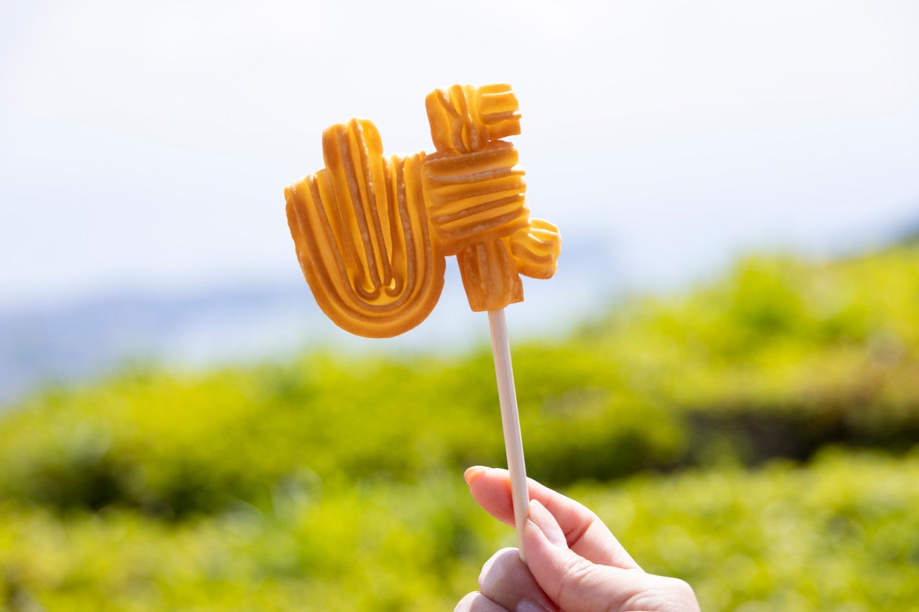 峠チュロス 500円／画像提供：富士急行