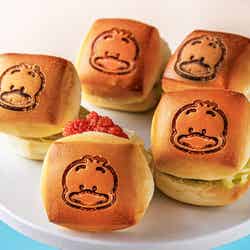 Come travel with us~はぴだんぶいの福岡探検~/提供画像