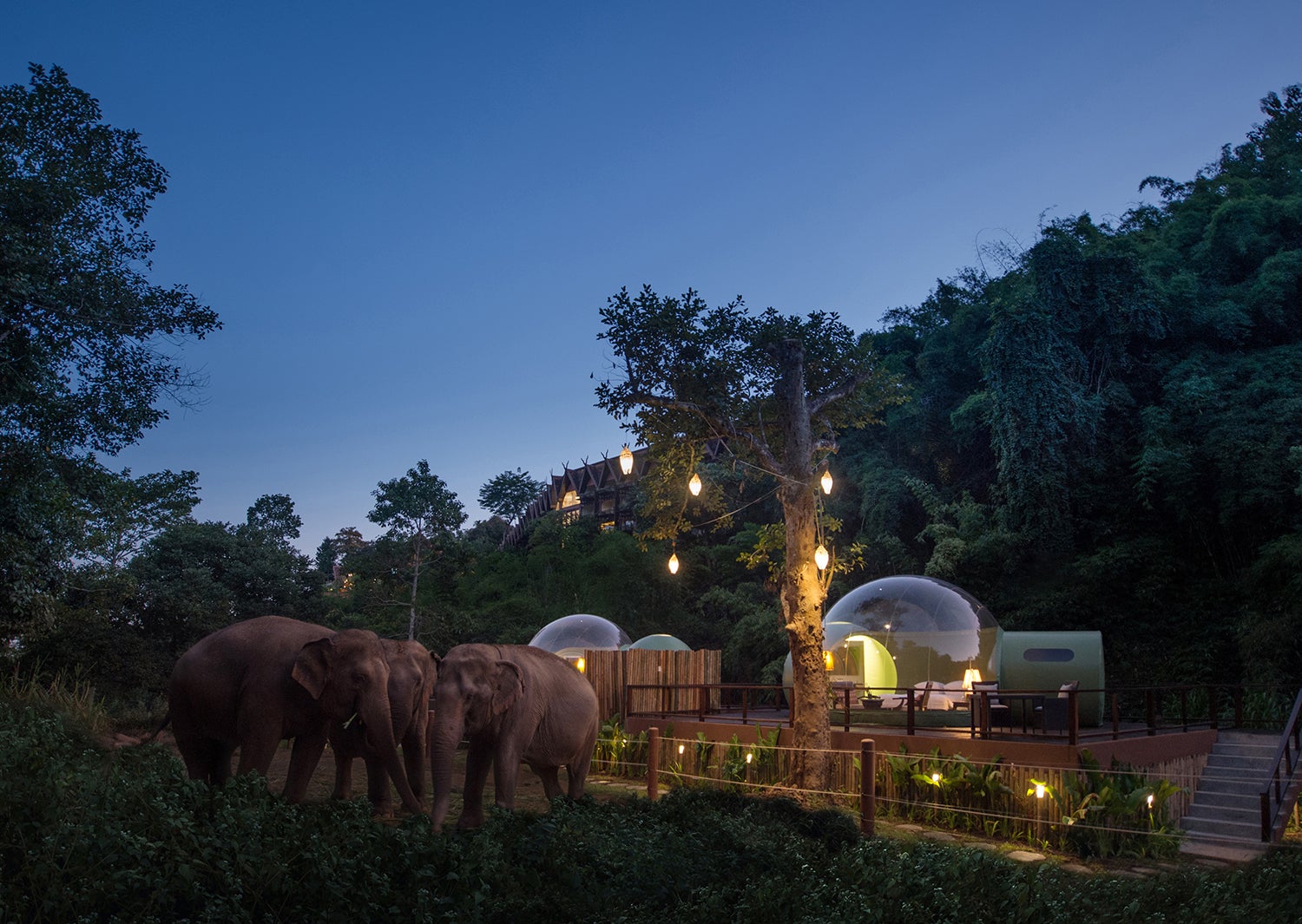 「ジャングルバブル（Jungle Bubble）」／画像提供：Anantara