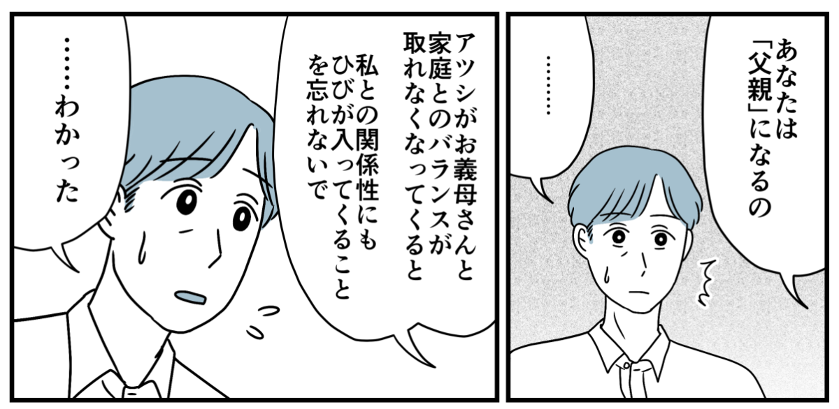 12_3_3
