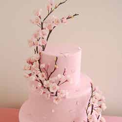 和の雰囲気漂う満開の桜ケーキ（C）Alisa Suzuki