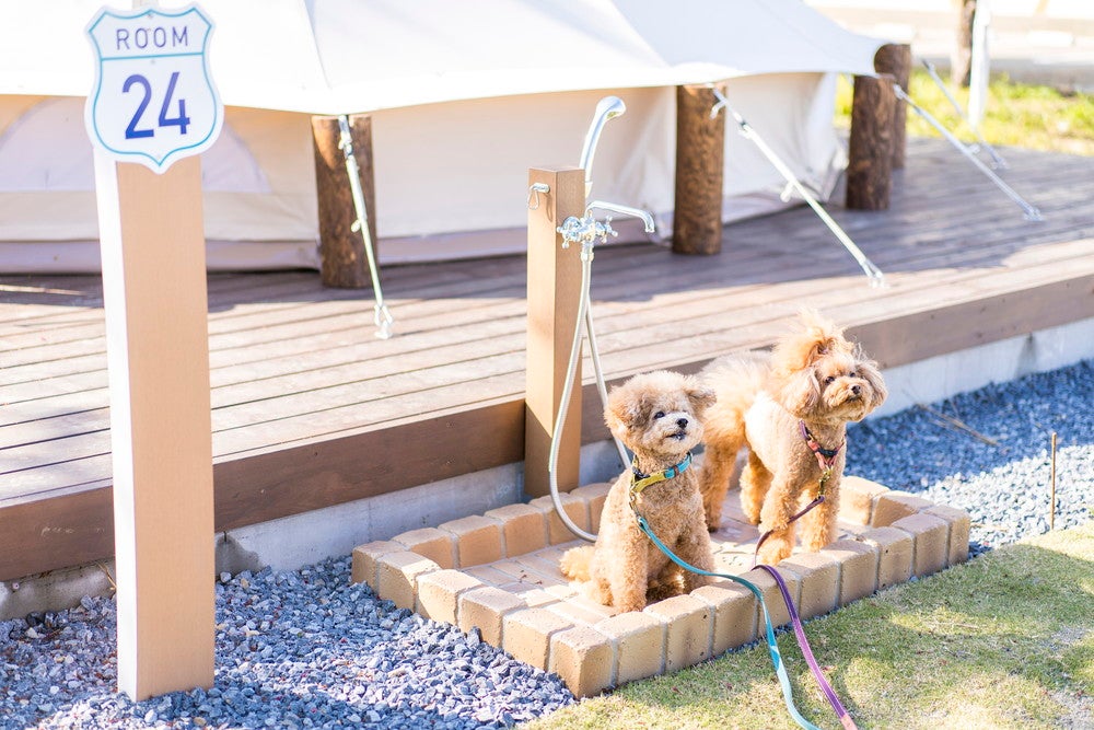 高滝湖グランピングリゾート／画像提供：HAMIRU