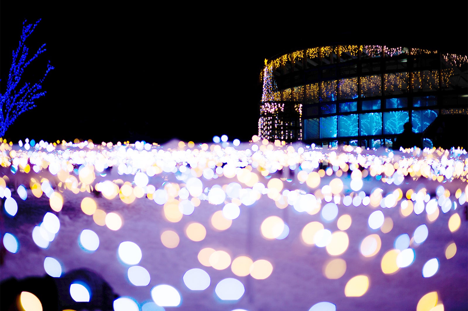 山形の“雪フェス”が楽しそう！冬花火＆雪見横丁の行列グルメで寒さも吹き飛ぶ