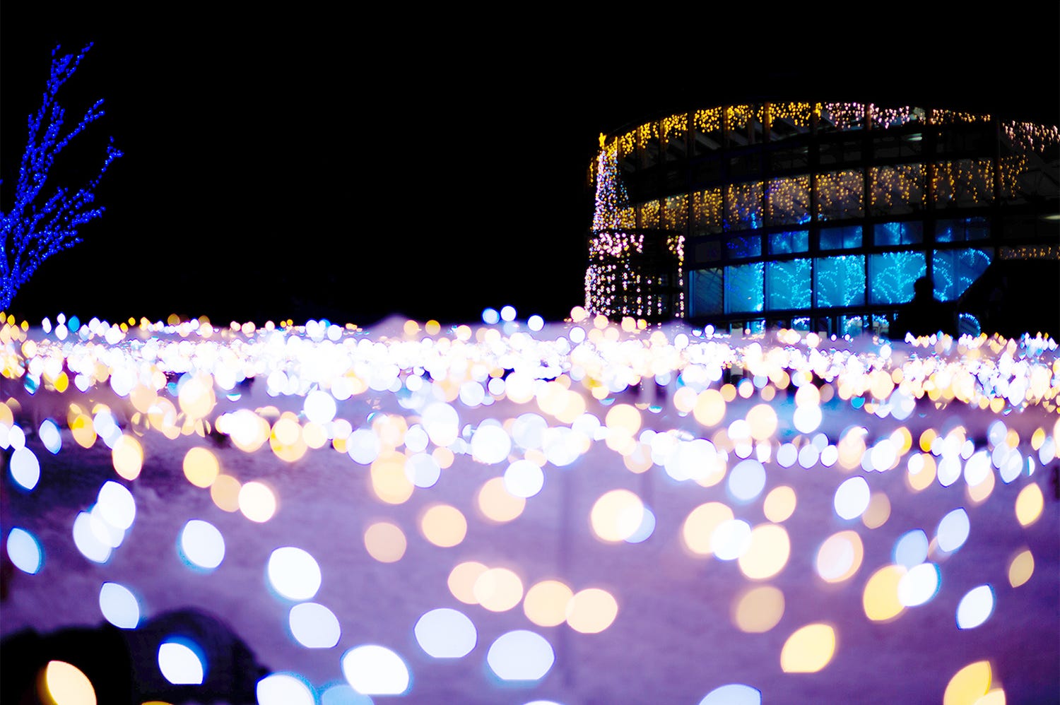 山形の“雪フェス”が楽しそう!冬花火&雪見横丁の行列グルメで寒さも吹き飛ぶ