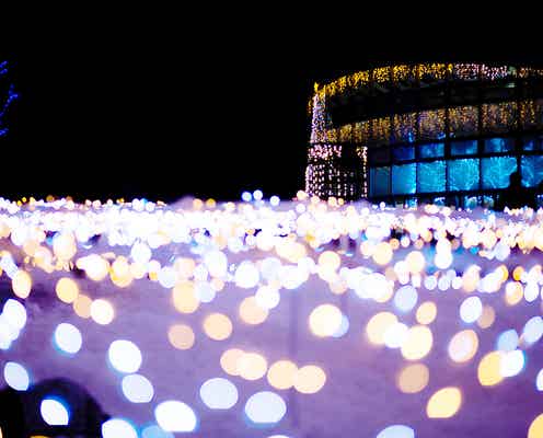 山形の“雪フェス”が楽しそう!冬花火&雪見横丁の行列グルメで寒さも吹き飛ぶ
