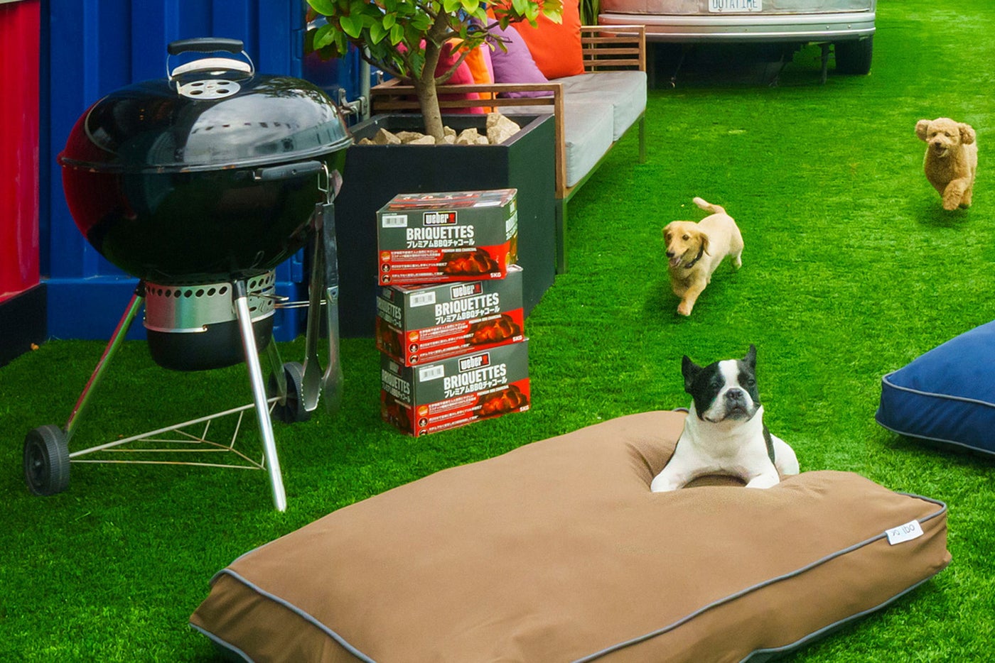 DOG RUN &amp; BBQ Beer Garden／提供画像