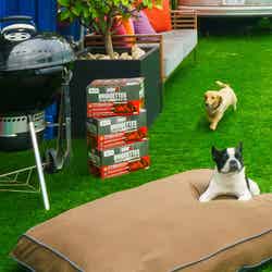 DOG RUN & BBQ Beer Garden/提供画像