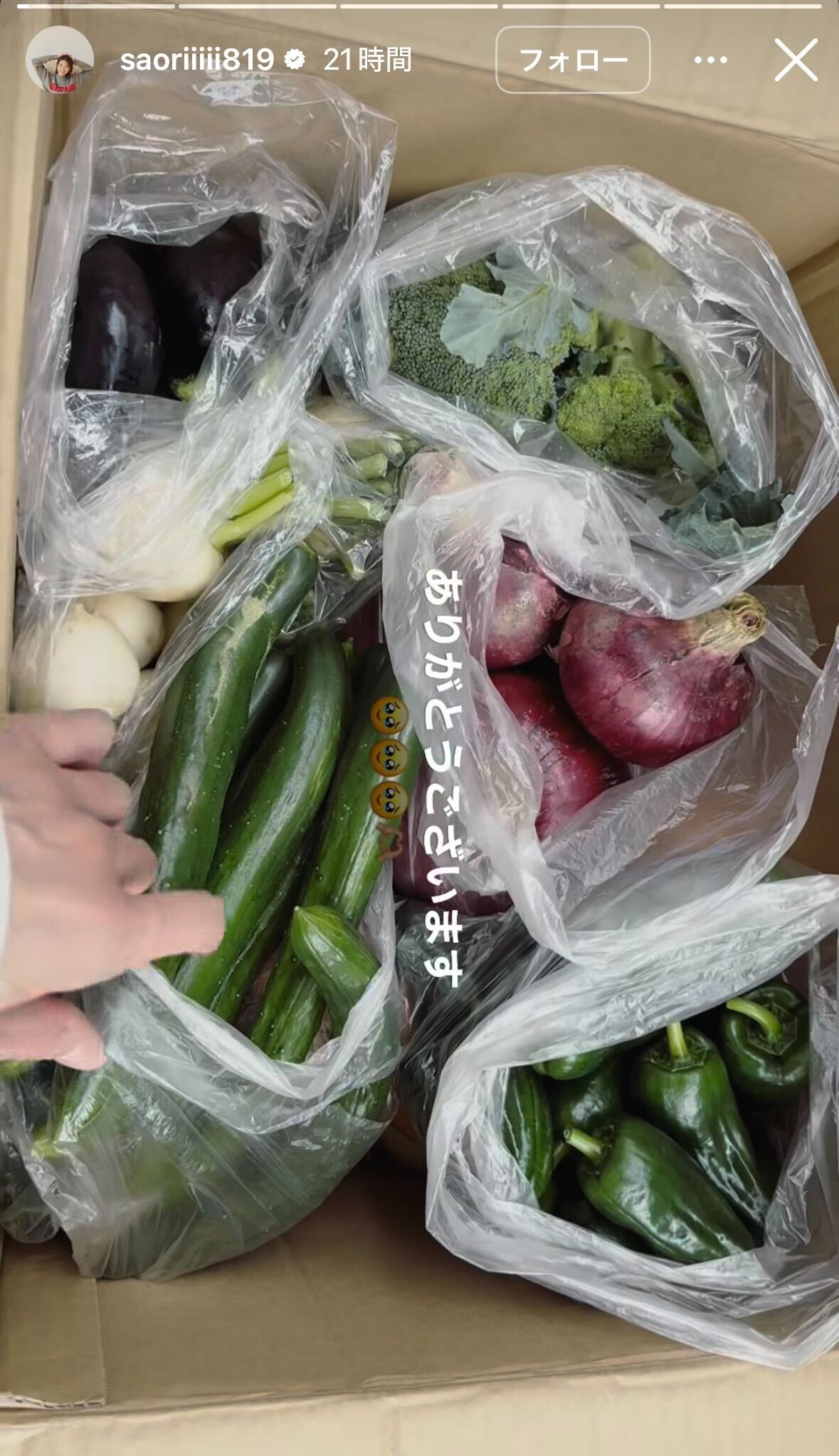 木村沙織Instagramストーリーズより