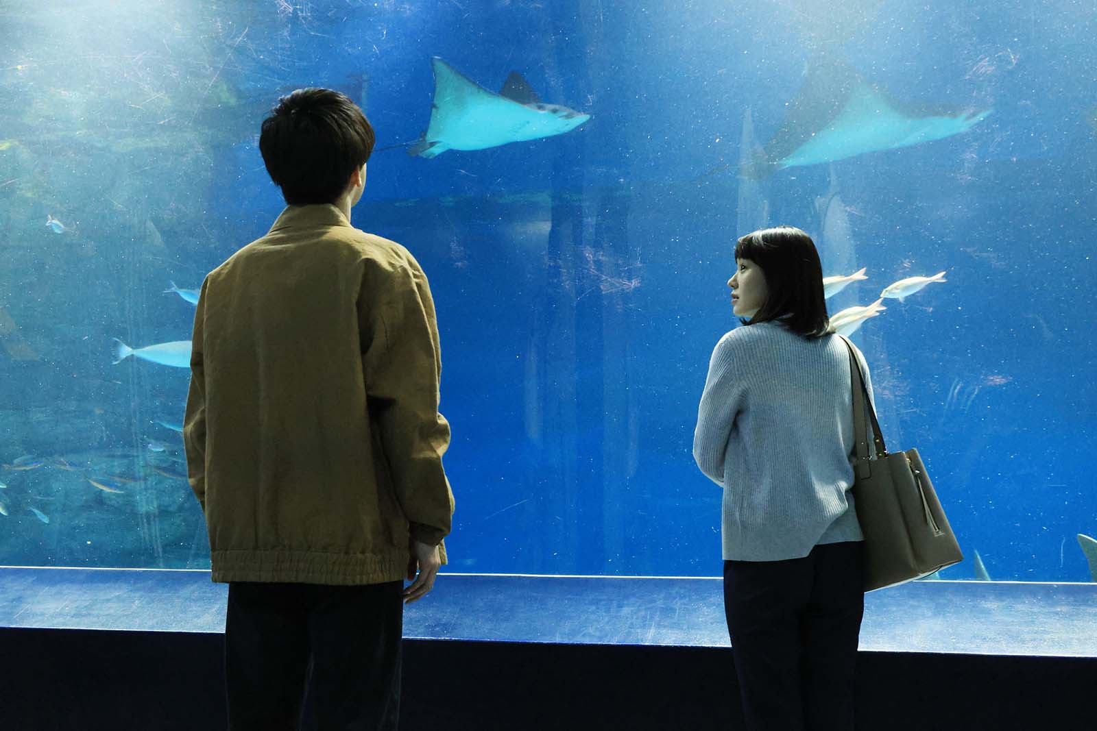 岩田剛典、奈緒「あなたがしてくれなくても」第3話より（C）フジテレビ