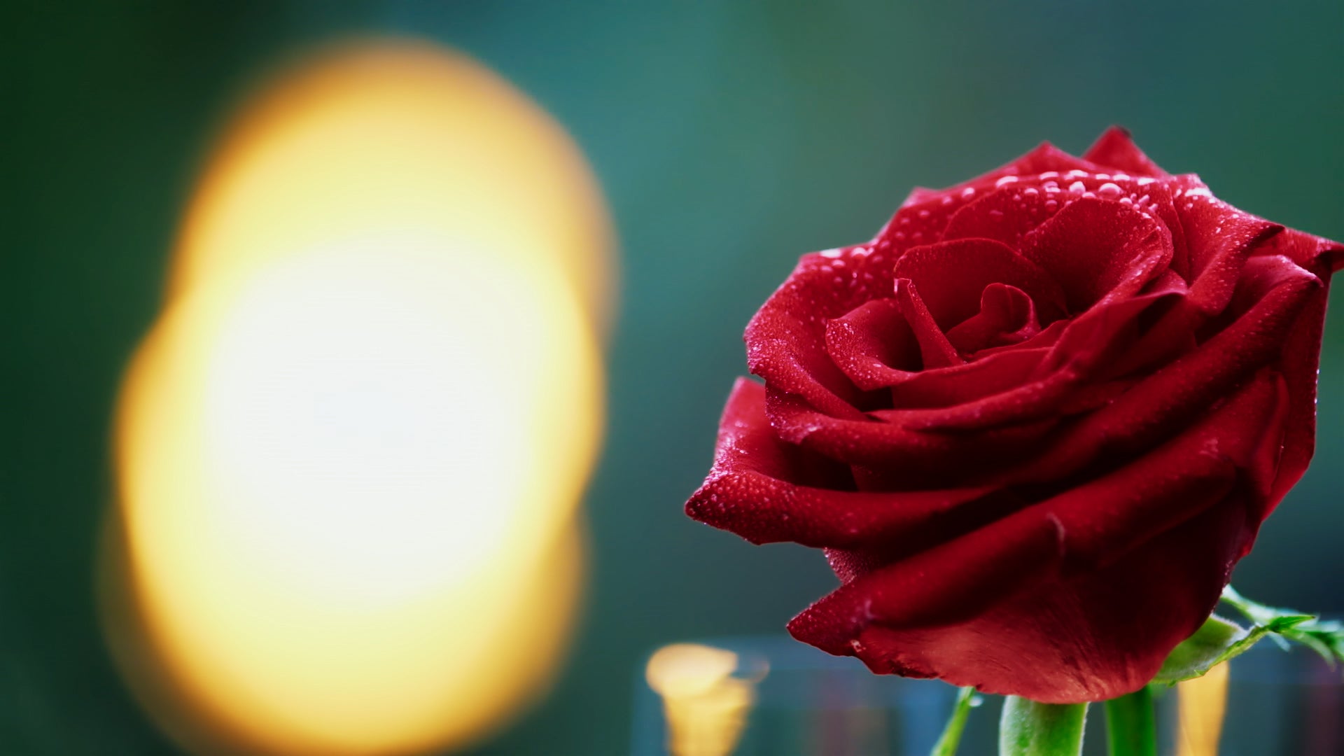 「バチェラー・ジャパン」シーズン4 エピソード1（C）2021 Warner Bros. International Television Production Limited