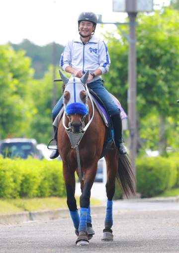 【宝塚記念】メイショウタバル 状態は万全 石橋師「気負ったこともなく、いい雰囲気」