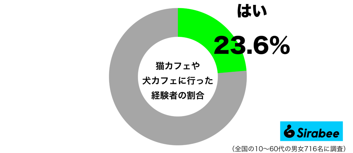 カフェや犬カフェに行ったことがあるグラフ