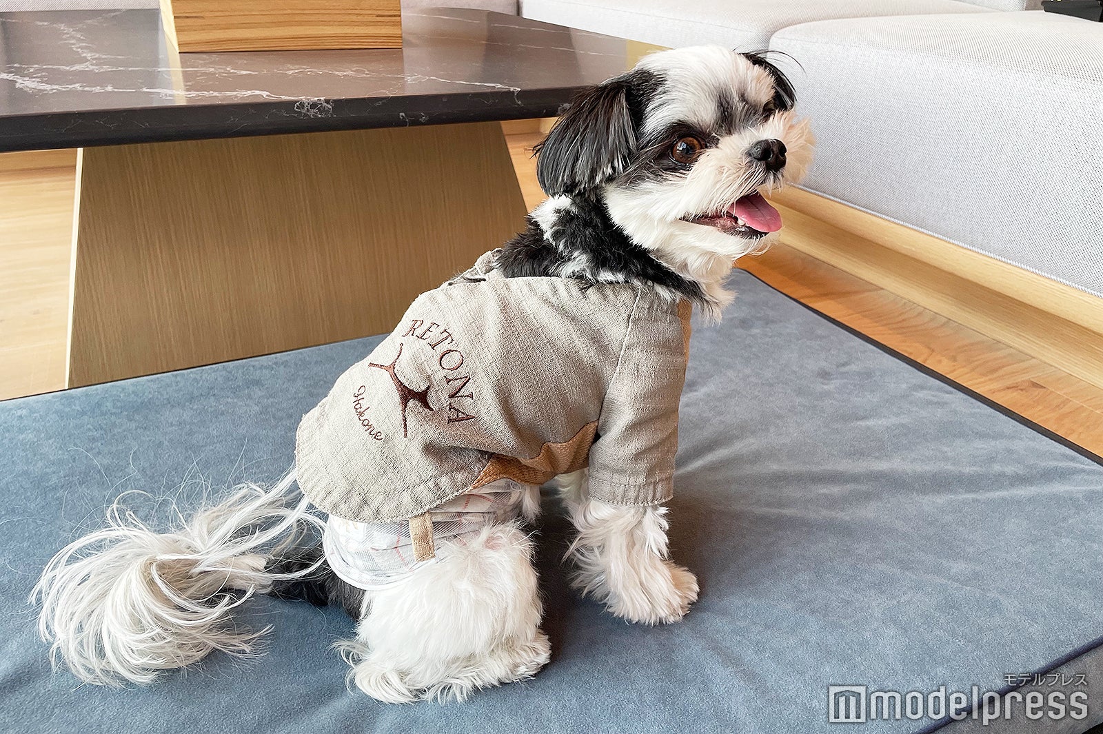 RETONA HAKONE／写真はSサイズ（C）モデルプレス