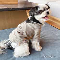 RETONA HAKONE/写真はSサイズ(C)モデルプレス