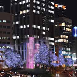 御堂筋イルミネーション2024イメージ/提供素材