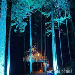 ミューの森(C)モデルプレス