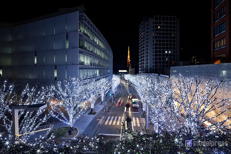 “五感で感じるクリスマス”がテーマ 120万灯の2色のイルミがライトアップ