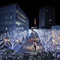 けやき坂 Galaxy イルミネーション/画像提供:森ビル【モデルプレス】