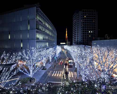 “五感で感じるクリスマス”がテーマ 120万灯の2色のイルミがライトアップ