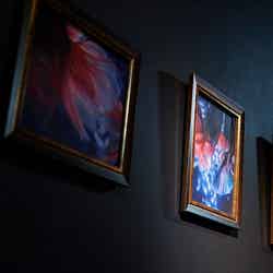 夏のアートアクアリウム~金魚で夏を感じる、涼~/画像提供:アートアクアリウム製作委員会