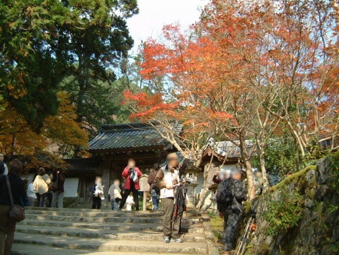 表参道を上った先にある西明寺の表門。紅葉も出迎えてくれます（2004年11月21日撮影）