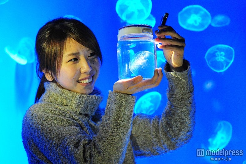 「ふわふわクラゲガール」／画像提供：京都水族館