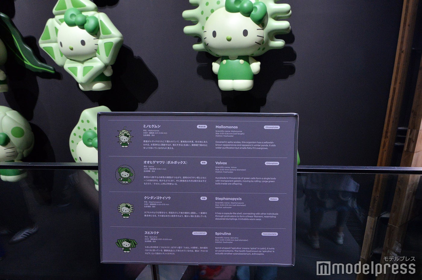 日本館（C）モデルプレス