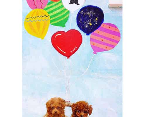 “世界初”マイクロ犬を集めたドッグカフェが登場 マイクロティーカッププードルが可愛すぎ!