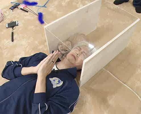 Hey! Say! JUMP八乙女光、苦手な猫と鼻チュー撮影に挑戦 思わず抱きしめる姿も