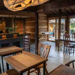 コフニア/提供画像