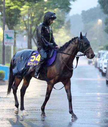 【安田記念】オフトレイル2枠3番 G1奪取へ追い風 重賞連対時は7番より内め 宇津助手「状態すごく良さそう」