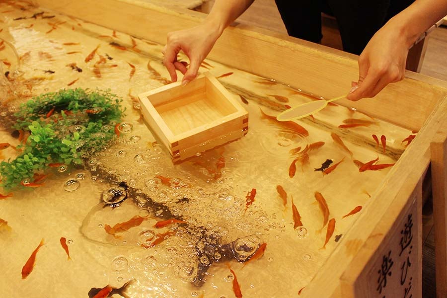 浅草きんぎょ 水槽