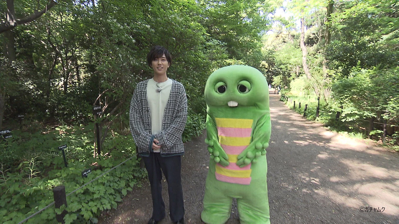 Snow Man阿部亮平、ガチャピンとの対決実現 熱い戦い繰り広げる