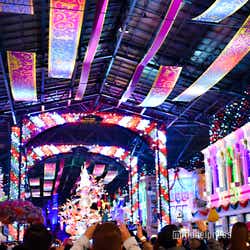 モデルプレス - 【ディズニー・クリスマス開幕】TDL「セレブレーションストリート」期間限定バージョンに シンデレラ城裏には生木ツリー