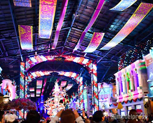 【ディズニー・クリスマス開幕】TDL「セレブレーションストリート」期間限定バージョンに シンデレラ城裏には生木ツリー