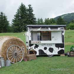 星野リゾート トマム(C)モデルプレス