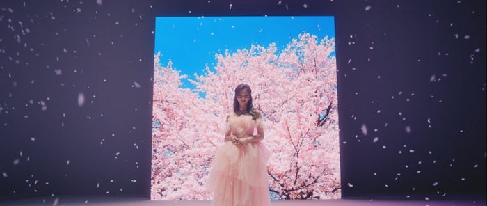 SANA/「卒業」のミュージックビデオより