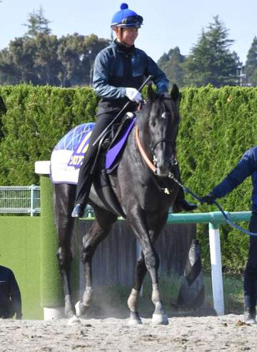 【皐月賞】ゾロアストロ覚醒 初の関西、右回り、開催順延－成長示した重賞Vの勢いに乗る 宮田師初のクラシック制覇へ期待