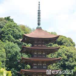 瑠璃光寺五重塔(C)モデルプレス