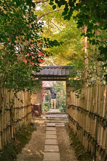 IMGP7826 by Kyoto-Picture