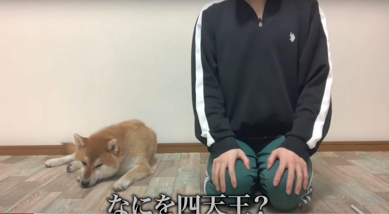 【和風総分家】実家で一人暮らしが開始!?こまちゃんと離れ離れに?